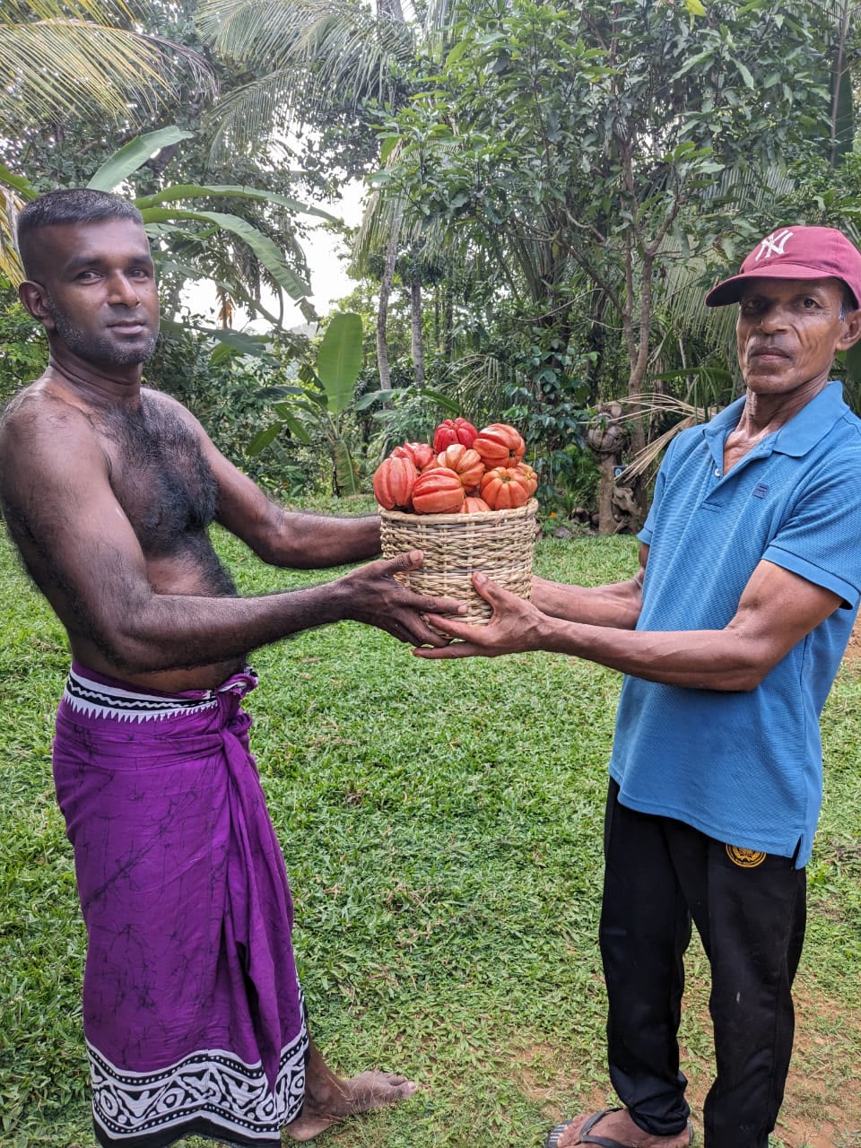 A photograph from the farms and communities we work with