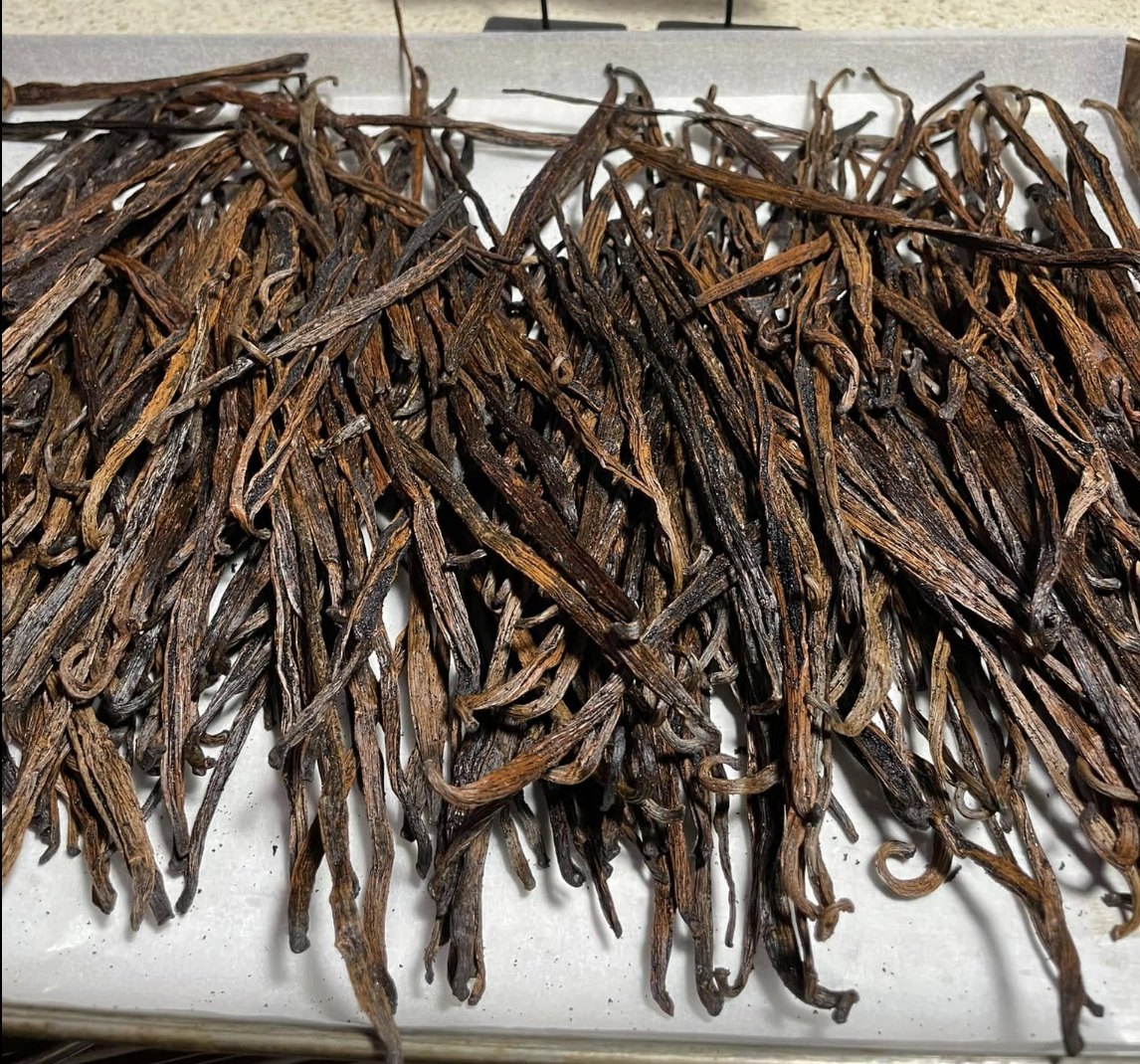 A tray of cured Grade A Madagascar vanilla pods