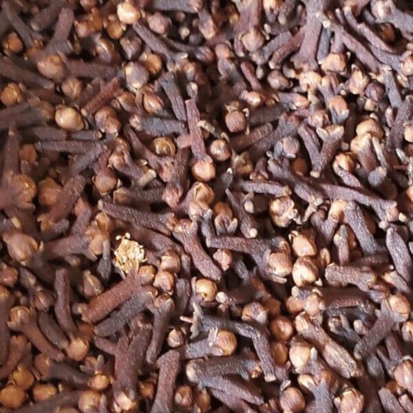 Josie's Sweet Caviar Madagascar Cloves — red resealable pouch