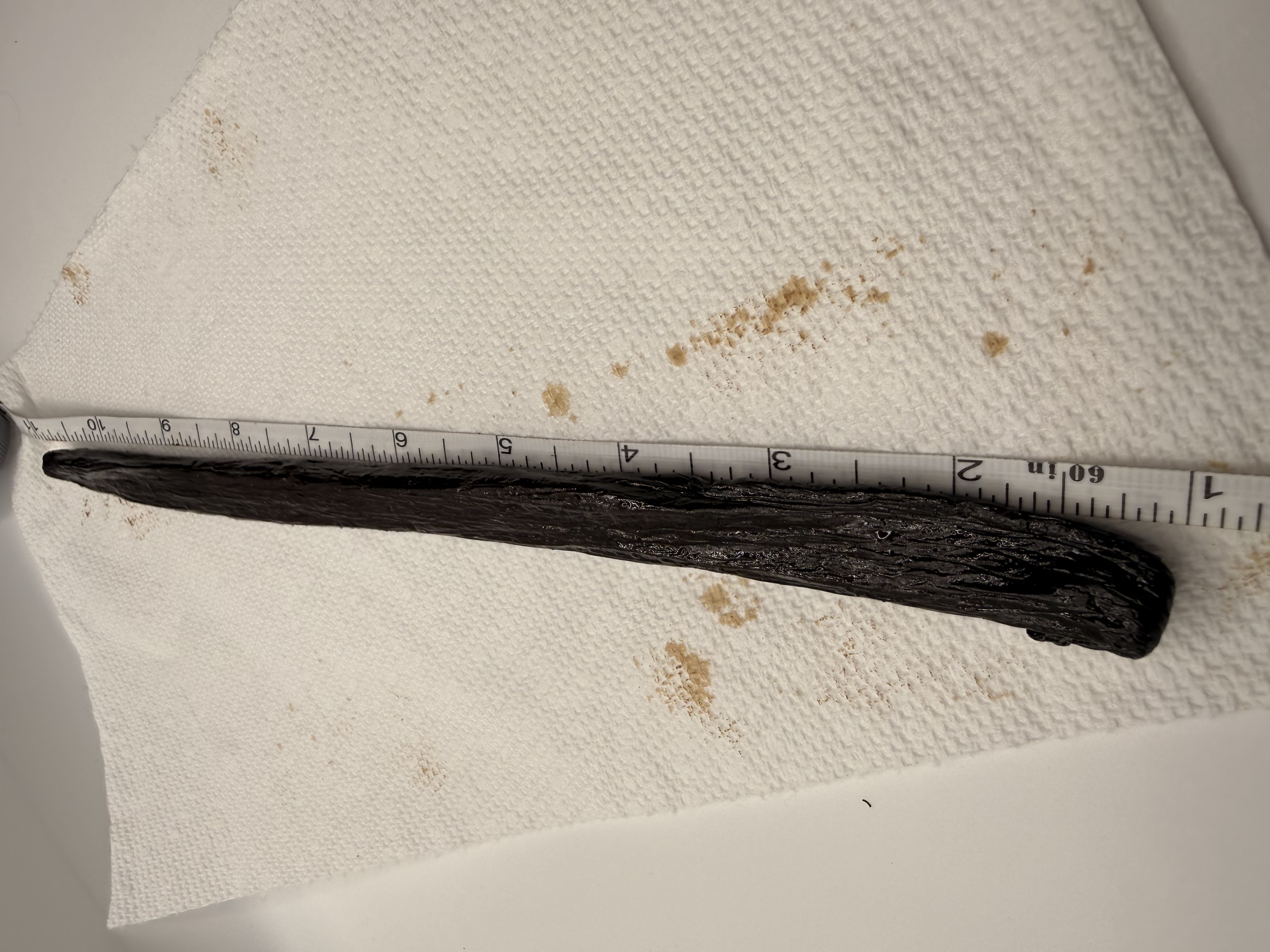 Madagascar Pompona vanilla bean beside a tape measure showing ~8 inches long — one of the largest gourmet vanilla beans in the world