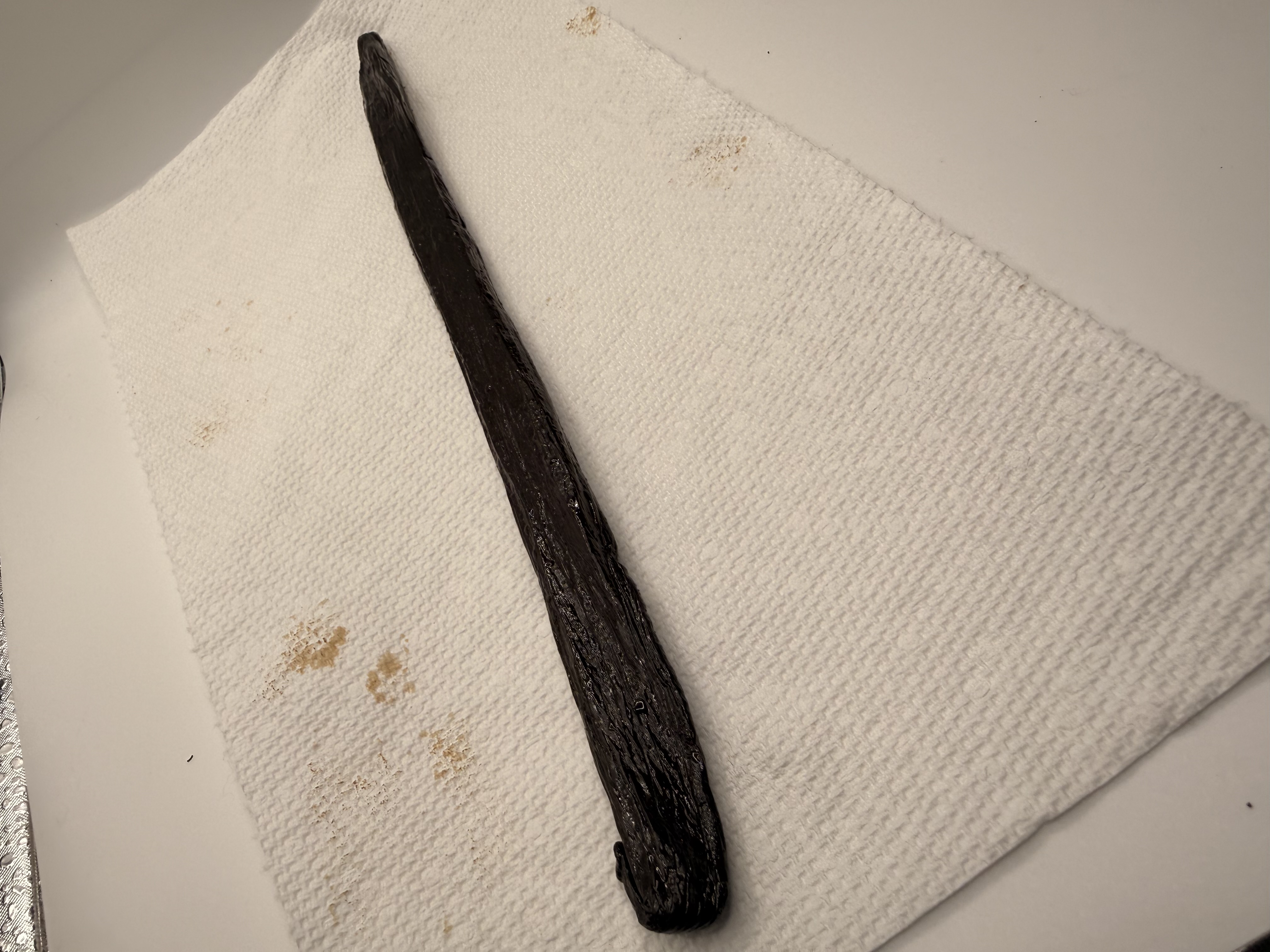 Madagascar Pompona vanilla bean — close-up of a single glossy black pod