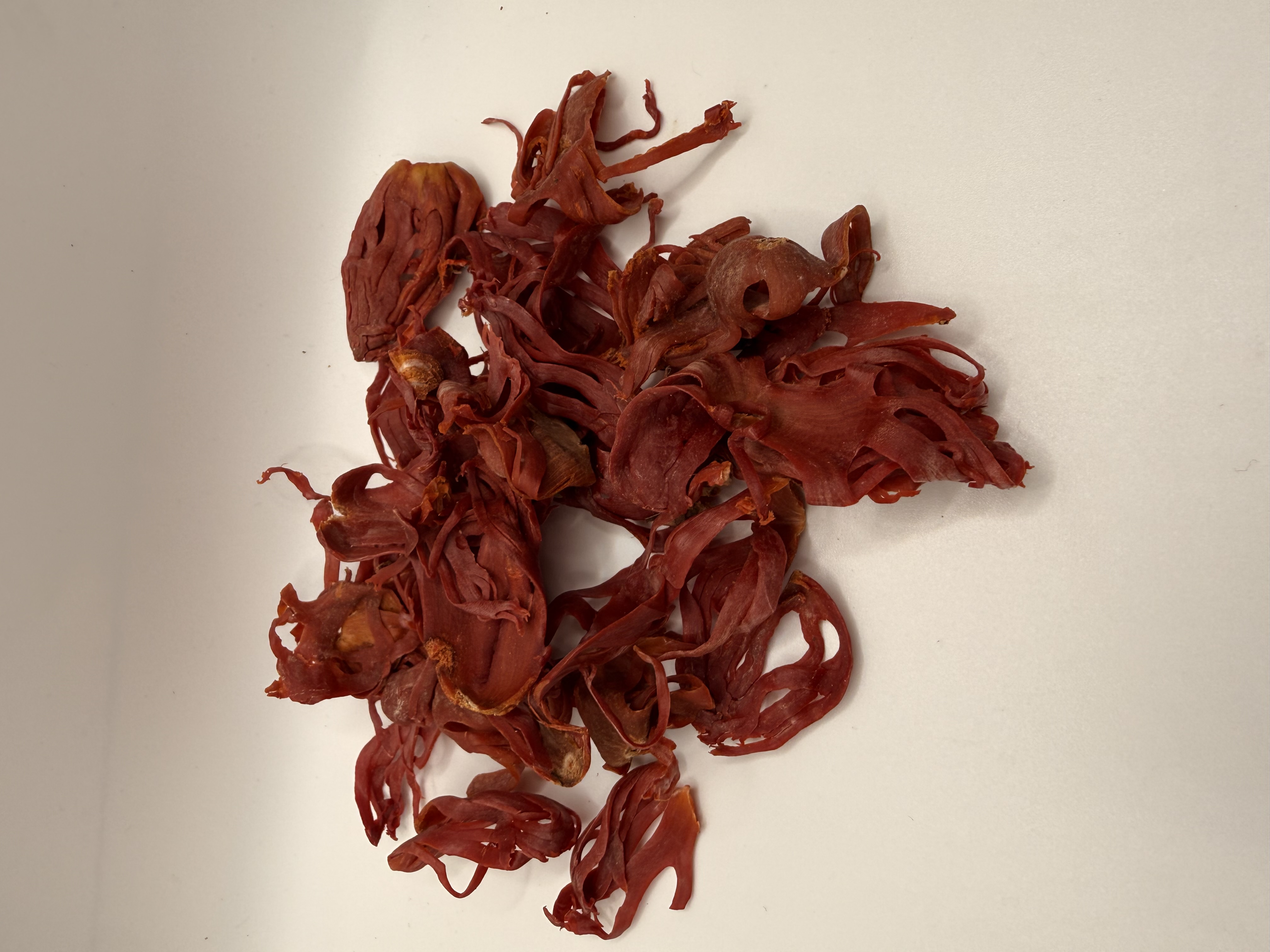 Josie's Sweet Caviar Sri Lanka Nut Mace — pile of deep-red curled dried aril fragments