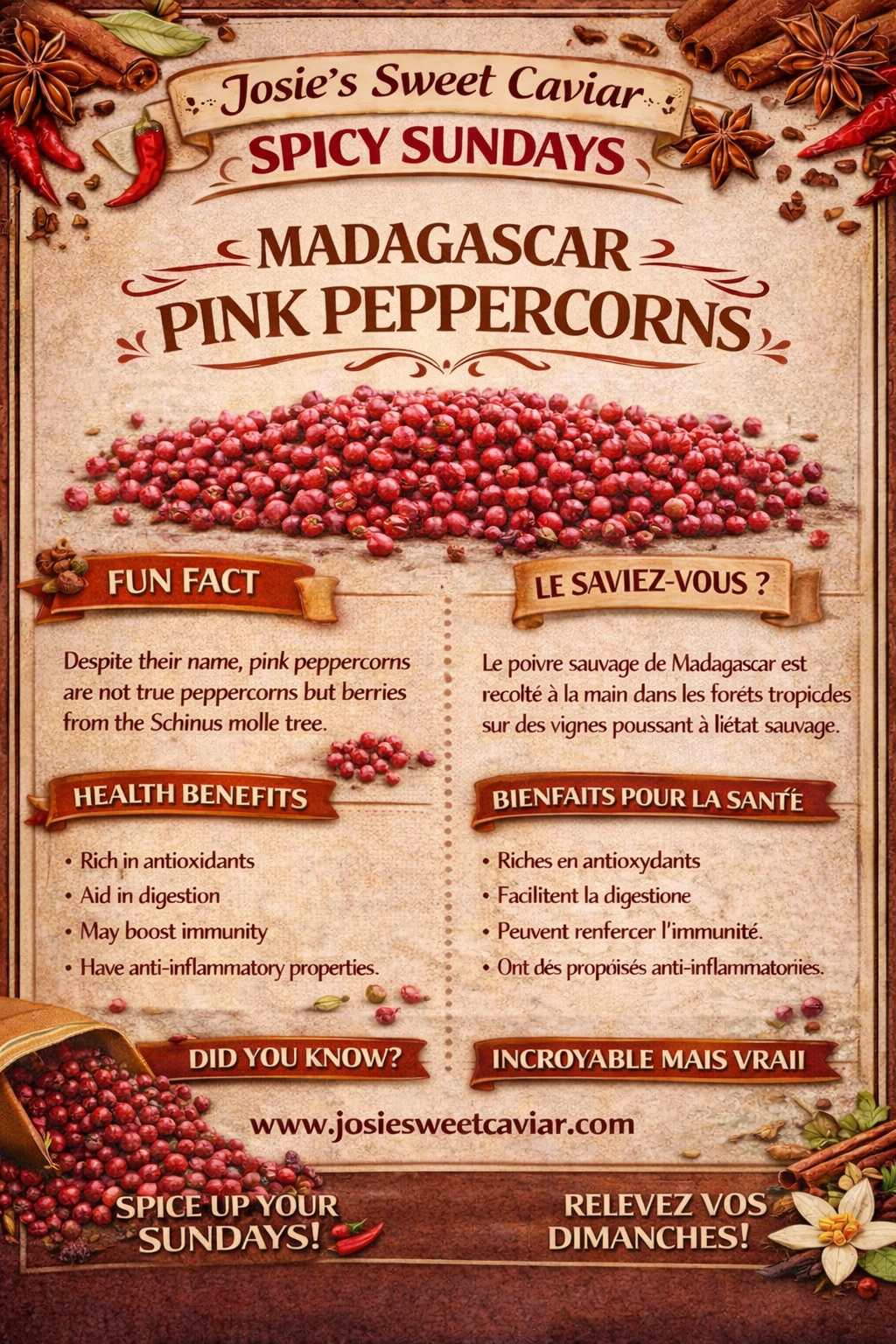Josie's Sweet Caviar Spicy Sundays pamphlet — Madagascar Pink Peppercorns