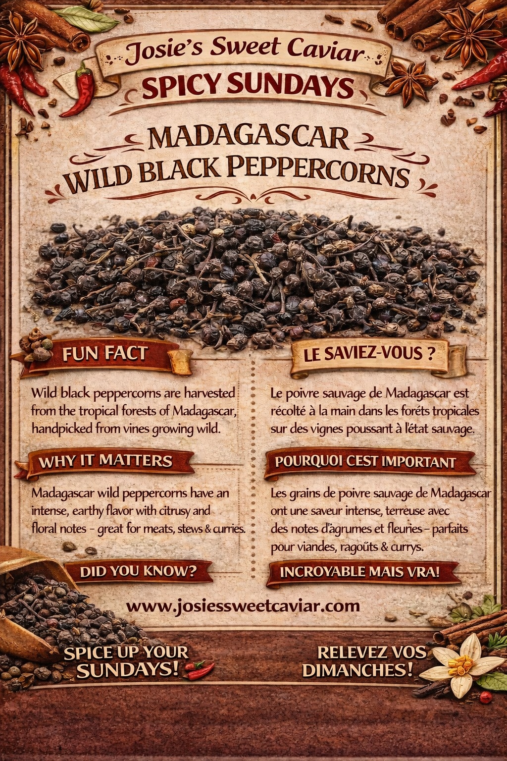 Josie's Sweet Caviar Spicy Sundays pamphlet — Madagascar Wild Black Peppercorns