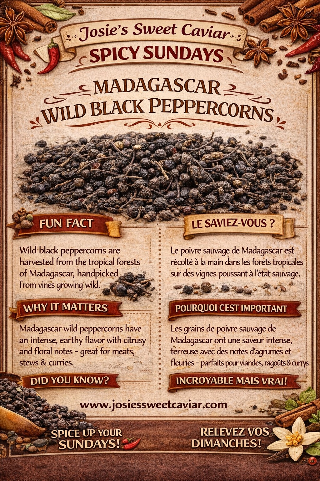 Josie's Sweet Caviar Spicy Sundays pamphlet — Madagascar Wild Black Peppercorns (bilingual card)