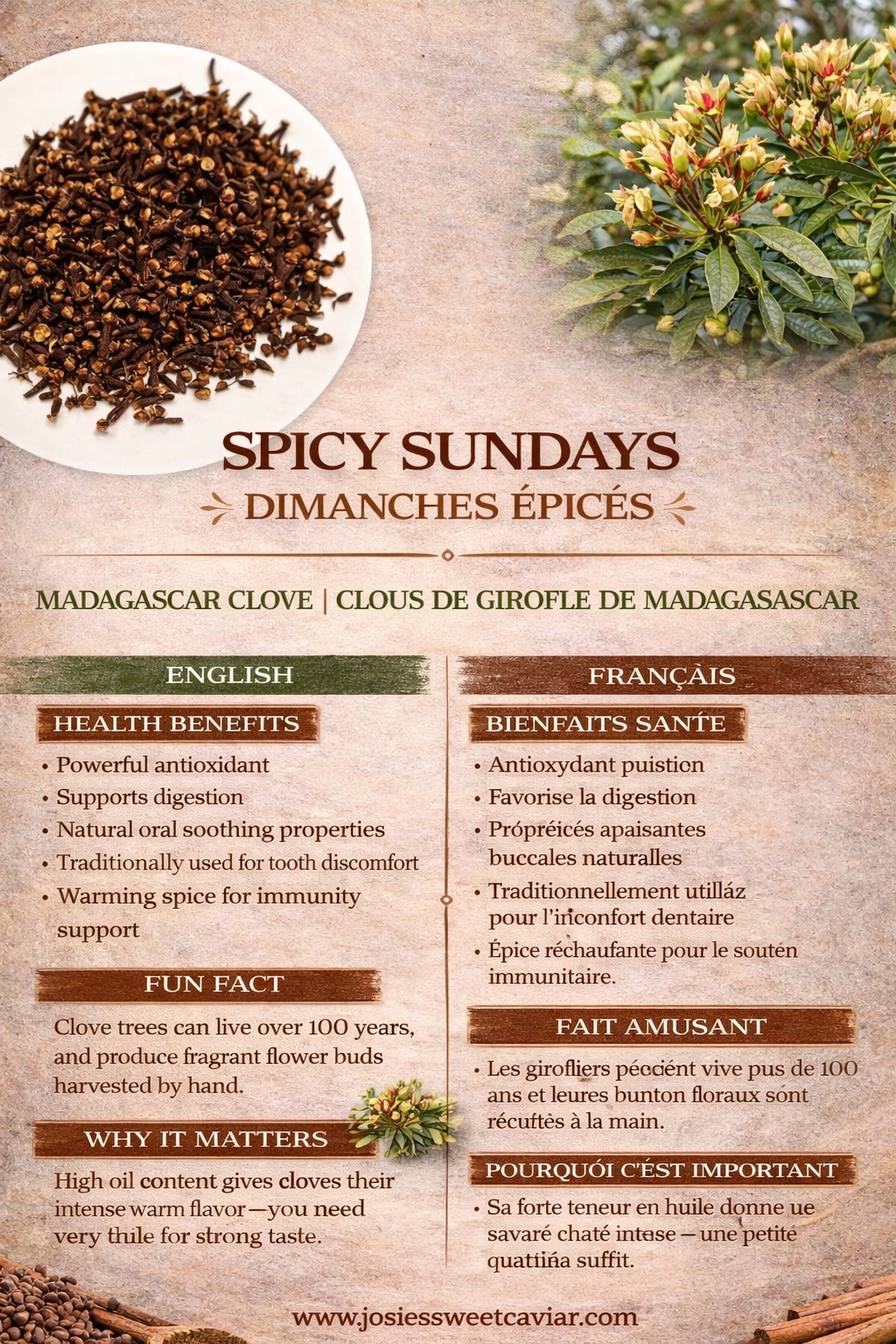 Josie's Sweet Caviar Spicy Sundays pamphlet — Madagascar Clove (bilingual health-benefits card)
