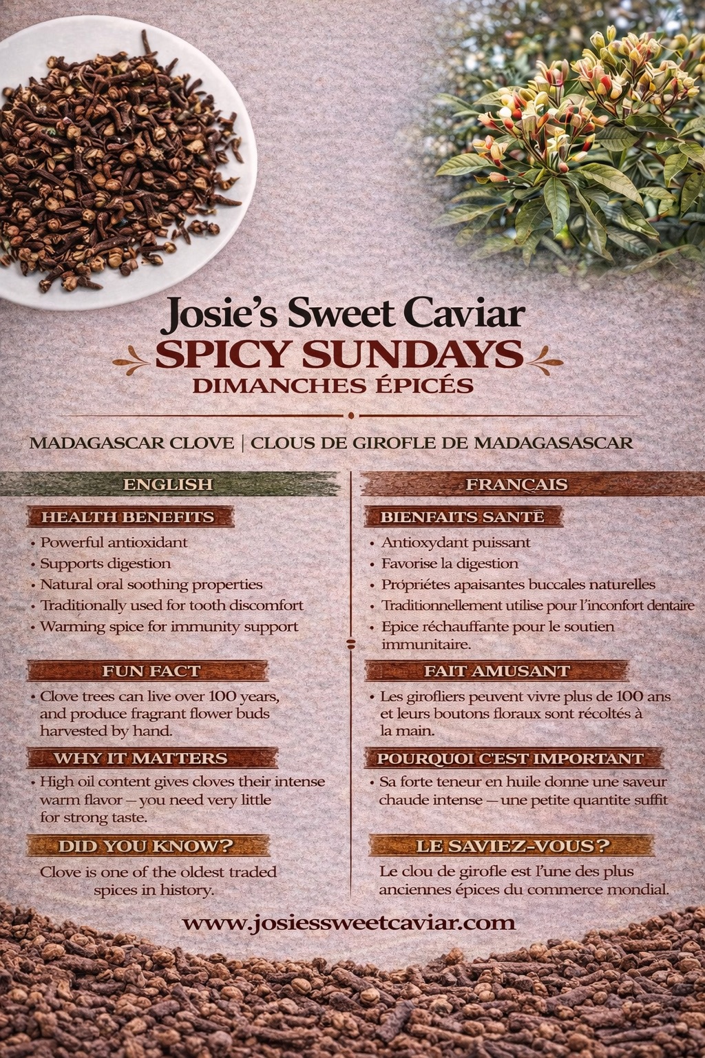 Josie's Sweet Caviar Spicy Sundays pamphlet — Madagascar Clove (fifth pamphlet variant)